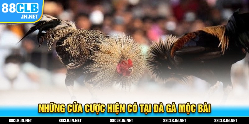 Đá Gà Mộc Bài – Bộ Môn Giải Trí Sôi Động Nhất Trong Năm 2025 3 Những cửa cược hiện đã có tại sân chơi đá gà mộc bài