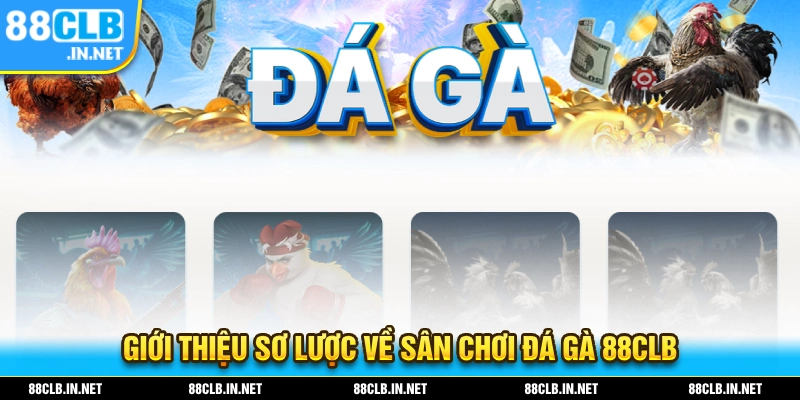 Giới thiệu sơ lược về sân chơi đá gà 88CLB