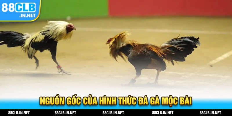 Đá Gà Mộc Bài – Bộ Môn Giải Trí Sôi Động Nhất Trong Năm 2025 1 Nguồn gốc xuất hiện trên thị trường của trò chơi đá gà mộc bài