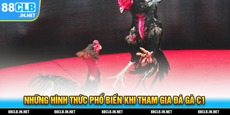 Đá Gà C1 - Thăng Hoa Cùng Những Trận Đối Đầu Đặc Sắc 2 Những hình thức giải trí phổ biến nhất khi tham gia đá gà C1